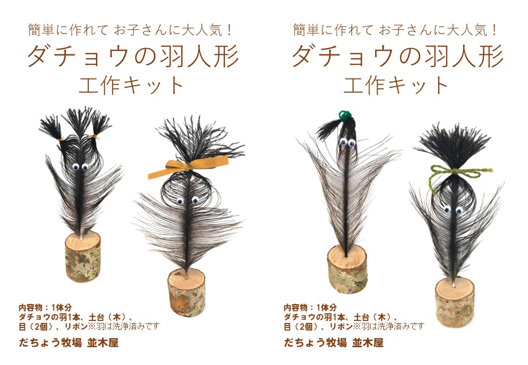 22年9月4日 埼玉新聞掲載 だちょう牧場並木屋 ダチョウの羽根使った工作キット Saya Biz 狭山市ビジネスサポートセンター